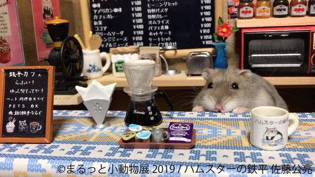 「食事にする？コーヒーにする？それとも、もふもふ??」