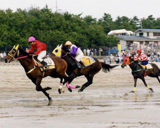 海岸を馬が疾走！鹿児島県いちき串木野市で「串木野浜競馬大会」開催
