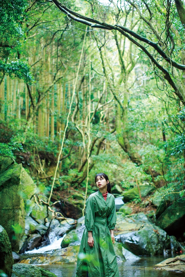 画像23 35 写真特集 癒しの山と森 福岡 糸島の自然全35枚 ウォーカープラス