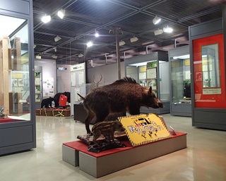 身近にいる危険な生きものたちを紹介！埼玉県立自然の博物館で企画展開催中