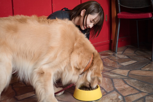 平祐奈がドッグシッター体験で犬と触れ合う