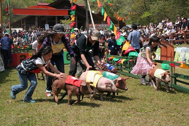 遊んで食べる豚のお祭り 三重県伊賀市で 第25回とんとん祭り 開催 ウォーカープラス