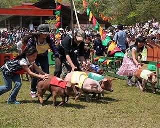 遊んで食べる豚のお祭り！三重県伊賀市で「第25回とんとん祭り」開催