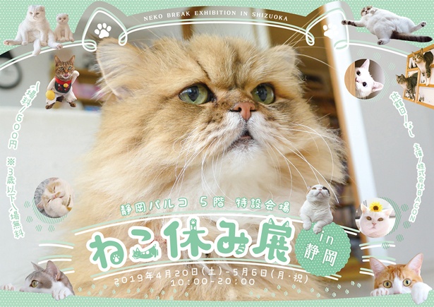 かわいいネコの合同写真＆物販展「ねこ休み展 in静岡」が、静岡パルコに帰ってくる