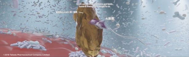 15分間で腸内環境の改善のヒントについて優しく解説している
