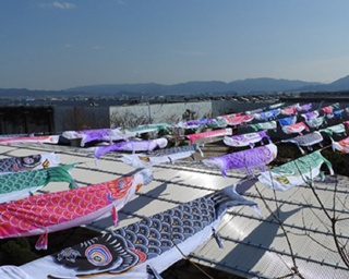 今週末の予定はコレで決まり！週末イベント5選・福岡県編[2019年5月3日(金)～5日(日)