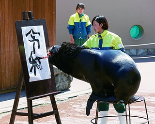 神奈川で「新元号」にちなんだお祝いイベントが続々!
