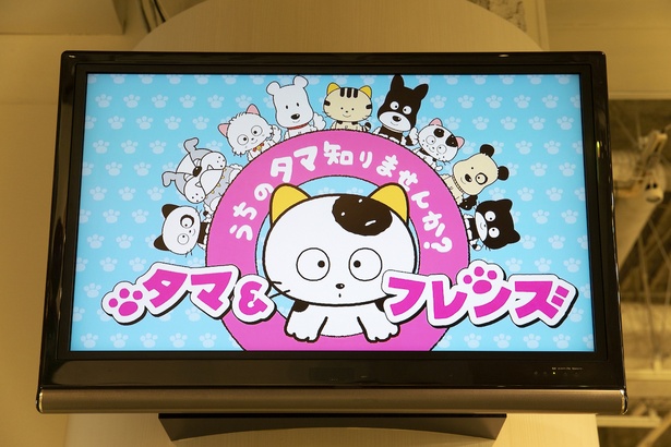 TVアニメ「タマ＆フレンズ～うちのタマ知りませんか？～」も放映されているので要チェック！