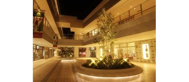 お店全体が幻想的な雰囲気に