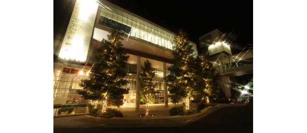 外から見てもクリスマス一色に