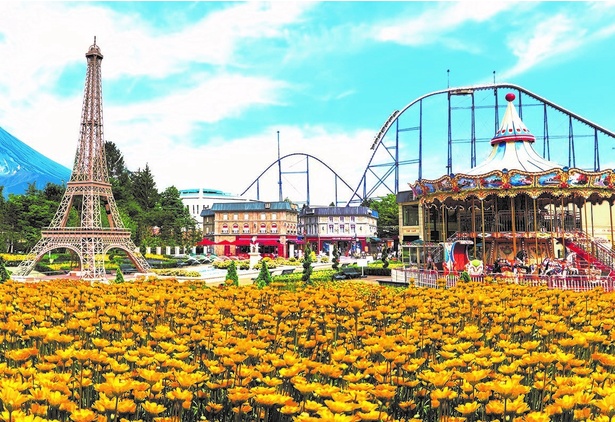 リサとガスパール タウンのメイン広場を黄色い花々が彩る ※写真はイメージ