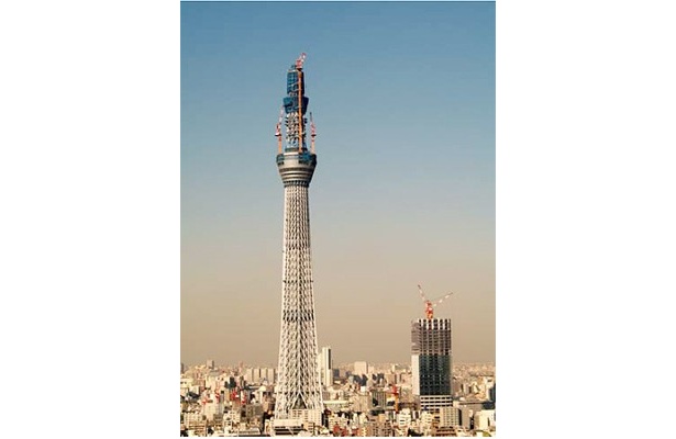 東京スカイツリーが500メートルの大台に到達！