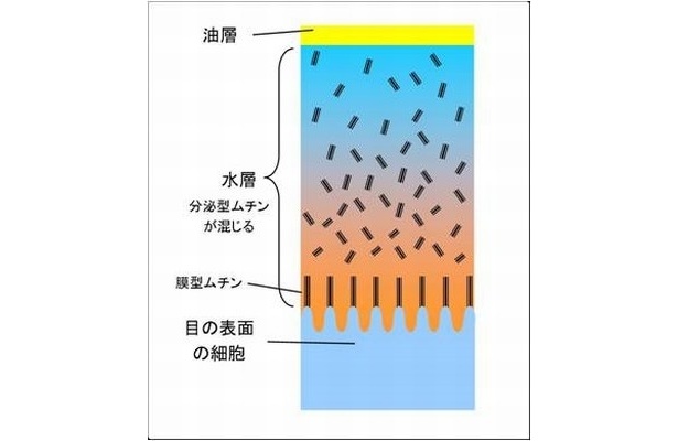 【写真】ドライアイになる理由とは？