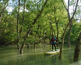 錦秋湖の水没林を巡る！岩手県和賀町で水上散歩ツアー開催