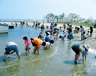 潮干狩りの季節到来！福島県いわき市で「蛇の目ビーチ潮干狩り」開催