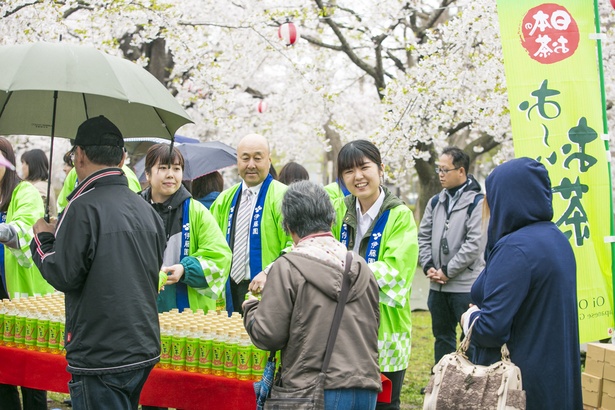 【写真を見る】満開の桜の下、多くの来場者に「お～いお茶」が配布された