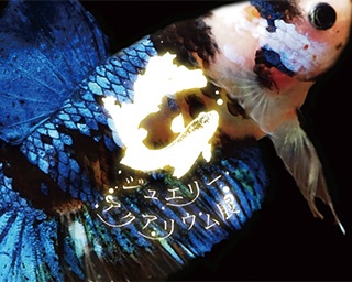 2000匹の魚を展示！日本初のカフェ型水族館がイオンレイクタウンに期間限定オープン