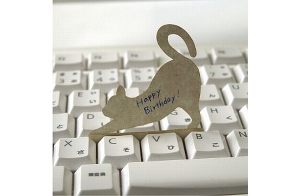Deng On/Cat