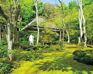 紅葉だけじゃもったいない！新緑の季節におすすめな嵯峨野～嵐山散策コースを紹介