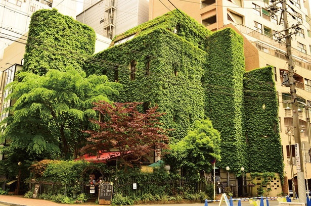 【写真を見る】街中に突如現れる、ツタでおおわれた存在感抜群のカフェ / 「air cafe 栄店」
