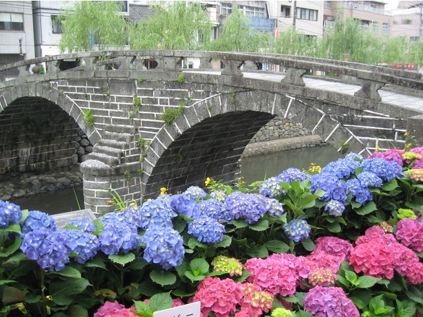 シーボルトの愛した花が長崎市内を彩る ながさき紫陽花まつり 開催中 ウォーカープラス