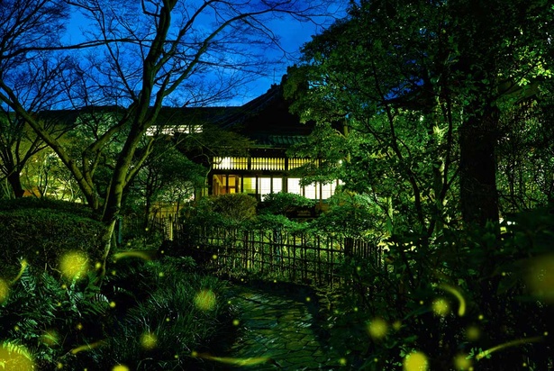 豊かな自然に囲まれ、ホタルが飛び交う太閤園の日本庭園は、都会とは思えない雰囲気。日常の喧騒をしばし忘れられる※写真はイメージ