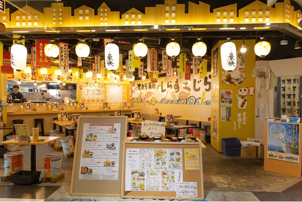 明るく入りやすい雰囲気の大衆居酒屋/ しらすくじら