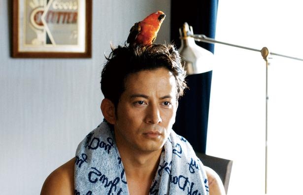 【写真を見る】頭にインコを乗せてボーッとしているこの男…実はスゴい殺し屋なんです!<写真17点>