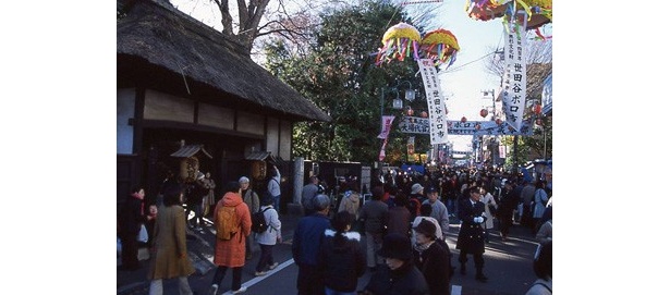 毎年12月と1月に行われる伝統の「世田谷ボロ市」が、いよいよ本日12月15日(水)より開催