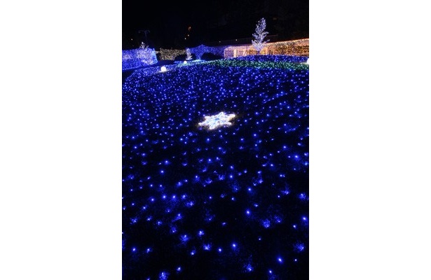 青いイルミが広がる幻想的な風景にうっとり