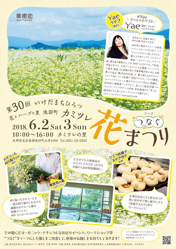 第31回いけだまちひろつカミツレ花まつり　ポスター
