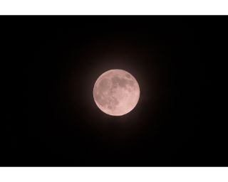 観られるのは年に一度だけ！サンシャイン60展望台でストロベリームーン観測会