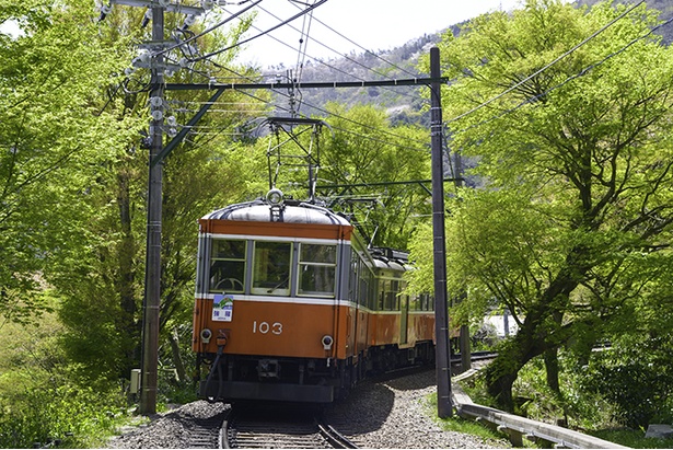 直営ストア 箱根登山鉄道 方向板 小田急 鉄道開業150周年 archeryarea.ch