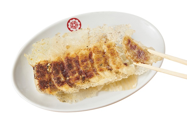 博多一口餃子 ヤオマン / 「黒豚焼き餃子」(7個 453円)。薄皮をまとう羽がサクッといい食感。焼き上がりの香りが食欲をそそる