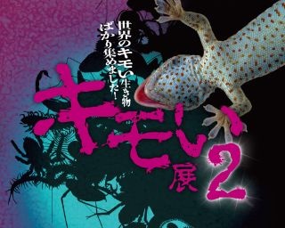 人気昆虫食を食べられる！ソラマチで「キモい展2」開催