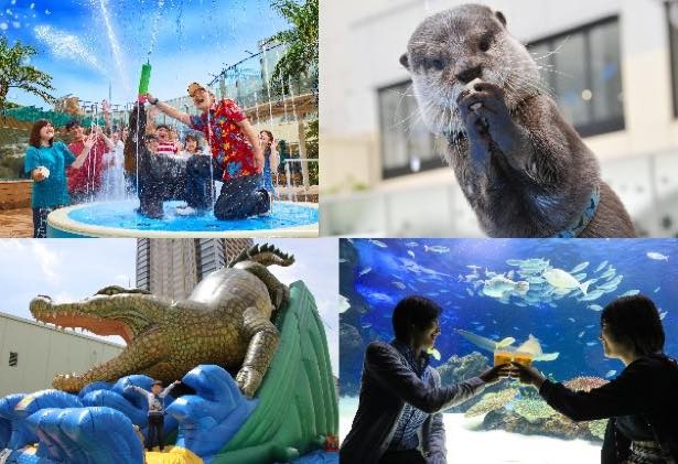 サンシャイン水族館の夏フェス2019開催
