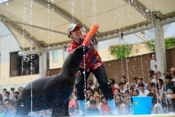 暑い夏にぴったりのイベント開催