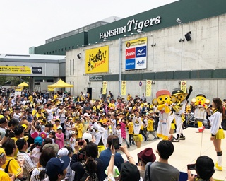 限定クラフトビールが楽しめる！甲子園球場で開催の「甲子園ビアフェスタ」へ