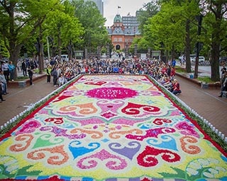 札幌都心に花のカーペットが出現！北海道札幌市で「SAPPORO フラワーカーペット 2019」開催