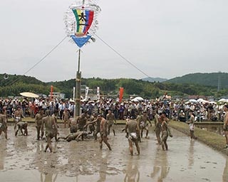 初夏の到来を告げる御田植祭　三重県志摩市で「伊雑宮御田植祭」開催
