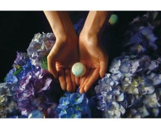 八芳園で梅雨の時期を楽しむイベント「あじさいフェス」開催！