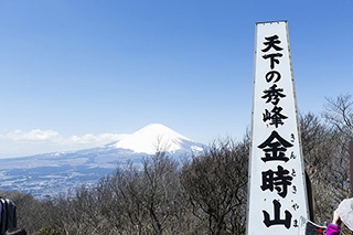 スタートからゴールまで絶景続き！神奈川の名山・金時山は満足感たっぷり