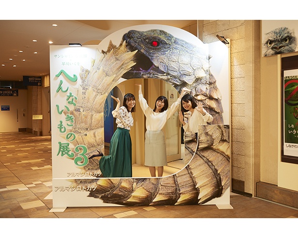 「うんこ」をひっさげリニューアル！サンシャイン水族館「へんないきもの展3」フォトスポット