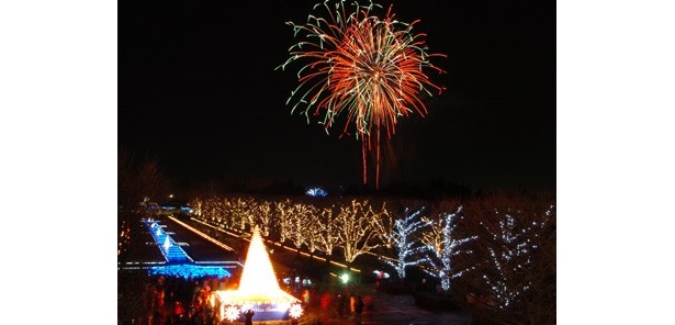 冬花火に天体観測…予約なしでOKのクリスマスイブイベント