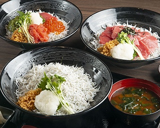 釜揚げシラスてんこ盛り！鎌倉のシラス丼専門店