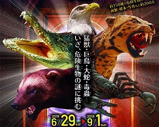 危険生物が待ち受ける！山口県の萩博物館で「危険生物大迷宮」開催