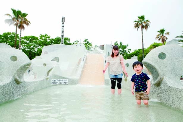水路や噴水、トンネルなどを組み合わせた「ウォーターキャッスル」/兵庫県立西猪名公園ウォーターランド