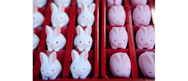 東天王 岡崎神社のうさぎおみくじ（500円）のデザインは2種
