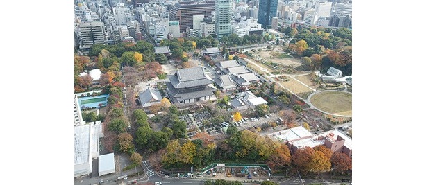 【写真】江もこんな景色を眺めていた!?