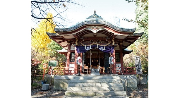 増上寺から芝公園を抜け、5分ほど歩いたところにある芝東照宮には、江の長男・家光が植樹したと言われるイチョウが残されている